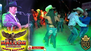 Las Cumbias de Halcon huasteco [upl. by Eleen760]