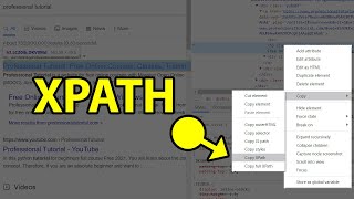 XPath in Selenium WebDriver Tutorial How to Find XPath [upl. by Ahsele]