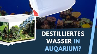 Solltest du destilliertes Wasser für dein Aquarium verwenden [upl. by Arri]