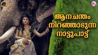 ആനച്ചന്തം നിറഞ്ഞാടുന്ന കിടിലൻ നാട്ടുപാട്ട്  Nadan Pattukal  Malayalam Traditional Song [upl. by Eisseb]