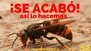 🐝COMO hacer TROYANOS ✅ TUTORIAL ACABA con las VELUTINAS 🐝 [upl. by Niram]