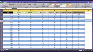 Alternating Row and Column Colors and Other Formatting Options in Excel [upl. by Lamek672]