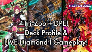 TriBrigade Zoodiac feat DPE Deck Profile amp LIVE Diamond I Games [upl. by Haldis]