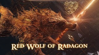 Red Wolf of Radagon  Elden Ring [upl. by Alvin]