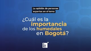 ¿Cuál es la importancia de los humedales de Bogotá  AHORA [upl. by Ilyk213]