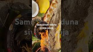 Samudram oduna sivaya poojaviralvideo food [upl. by Aker]