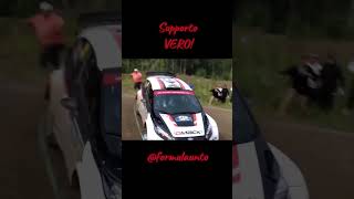 Supporto VERO 🦁🚀 rally rallycar motorsport motori 🙏🏻✅ [upl. by Raynell]