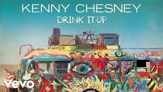 Kenny Chesney  Drink It Up Official Audio [upl. by Aroz]