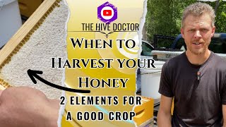 When to Harvest HoneyWhen is Honey quotRIPEquot [upl. by Lisan]