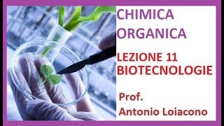 CHIMICA ORGANICA  Lezione 11  Le Biotecnologie [upl. by Nerrej568]