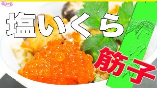 本格【プロのレシピ】筋子と塩いくら簡単に作るコツ！美味しく出来ます！ [upl. by Ettennaj]