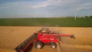 Bernia Family Farms Inc  Wheat Harvest 2016 [upl. by Eilatam648]