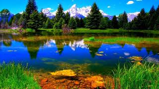 Beautiful Nature Wallpapers  beautiful images of nature [upl. by Golter]