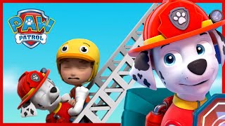 Marshall Saves Adventure Bay and More  PAW Patrol  Cartoons for Kids [upl. by Whitcher792]