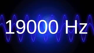 19000 Hz clean pure sine wave TEST TONE 19 khz frequency [upl. by Hesther]