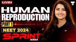 Human Reproduction Part 1  NEET 2024 Sprint Series  Seep Pahuja [upl. by Aneahs897]