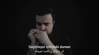 ilyas yalçıntaş  içimdeki duman harmonica cover with lyrics [upl. by Namreg181]