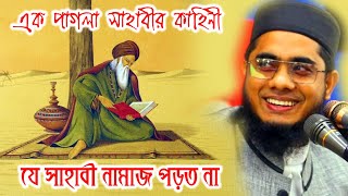 Mahmudabadi Waz  Muft shahidur rahman waz  Mufti Shahidur Rahman Mahmudabadi  Mahmudabadi BD Waz [upl. by Jaquenetta]