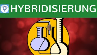 Hybridisierung amp DNAHybridisierungsverfahren einfach erklärt  SouthernBlotting amp Bsp  Analyse 2 [upl. by Orag]