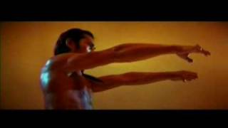 Hung Gar Gung Ji Subduing Tiger Fist 工字伏虎拳 Form [upl. by Nalad]