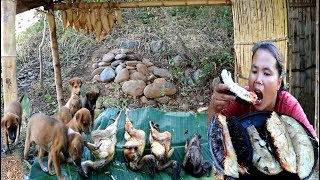 survival in the rainforest  woman cooking jackfruit with​​ partridge in clay  Eating delicious [upl. by Adehsar]