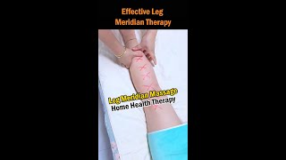 Effective Leg Meridian Therapy [upl. by Harvie995]