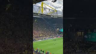 Edin Terzic vor der Südtribüne BVB Dortmund [upl. by Reerg]