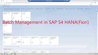 Batch Management in SAP S4 HANA using FIORI [upl. by Lukasz]