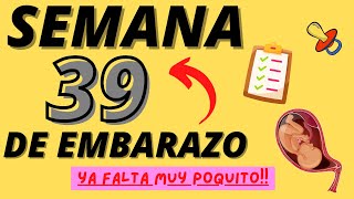 Semana 39 Embarazo Tercer trimestre [upl. by Demahum]