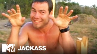 Slip amp Slide 2001  Jackass [upl. by Antebi]