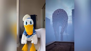 Donald Ducc SCARIEST TikToks 73 DO NOT BE SCARED CHALLENGE [upl. by Eet]