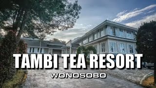 TAMBI TEA RESORT  WONOSOBO [upl. by Eilsehc230]