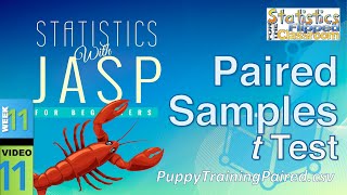 How to do a Paired Samples t Test in JASP 1111 [upl. by Deva]