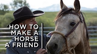 How to make a horse a friend One cowboys partnership with horses [upl. by Arrais497]