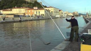 Castiglione della Pescaia Pesca Grossa [upl. by Ayouqes]