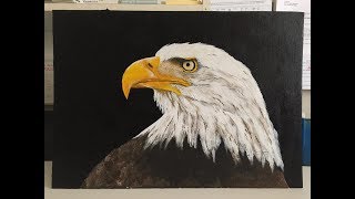 141 how to paint an eagle in acrylic [upl. by Enyalaj]