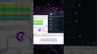 Copy amp Execute Signal  Telegram Signal Copier [upl. by Clapper]
