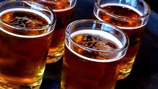 Why starting a craft brewery is a bad idea [upl. by Andria354]