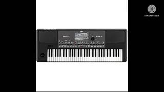 KORG PA600  SET  UZIVO [upl. by Ehrenberg140]