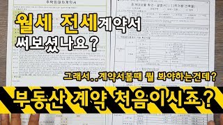 부동산 계약서월세계약서전세계약서 작성할때 봐야할 꿀팁 [upl. by Pickard]