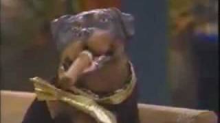 Triumph the Insult Comic Dog on Leno 2003 [upl. by Ikcim457]