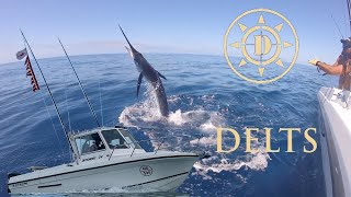 MARLIN FISHING  EAST COAST  NSW  AUSTRALIA  DELTS [upl. by Airtemed]