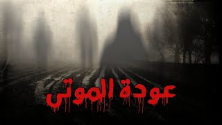 آشلي، القرية التي ابتلعها الموتى [upl. by Shetrit488]