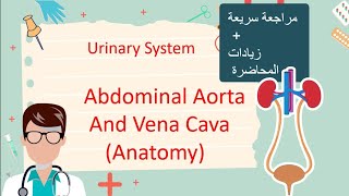 Abdominal Aorta Vena cava  Revision and extra notes [upl. by Selie651]