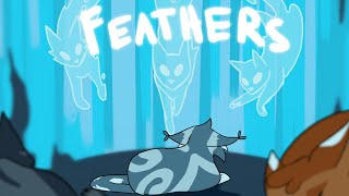 FEATHERS  feathertail pmv [upl. by Bradford]