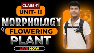 MORPHOLOGY OF FLOWERING PLANTS CLASS 11  NCERT DEEP LINES  COMPLETE NCERT FOR NEET 2025 [upl. by Dreyer]