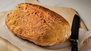 Poolish Starter Recipe  Great for Bread and Pizza Dough [upl. by Taka63]