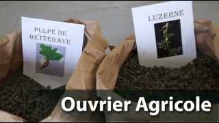 Ouvrier Agricole [upl. by Simeon]