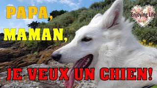 CONVAINCRE SES PARENTS DAVOIR UN CHIEN ✿ Enjoying Life [upl. by Aelyk]