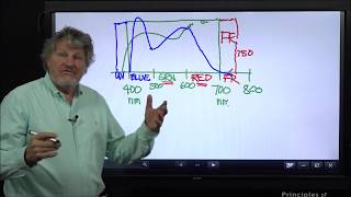 What is the contrast test effect of farred lightgrowlight [upl. by Sral]